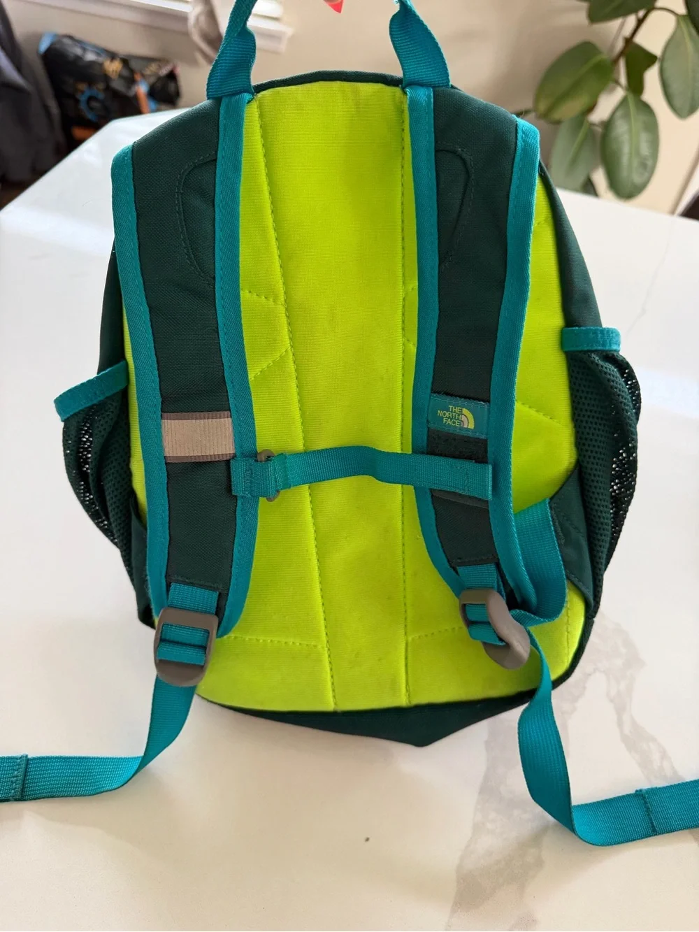 The North Face sprout backpack mini
